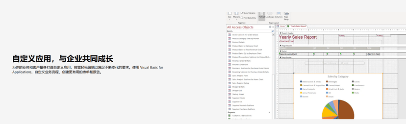Microsoft Access